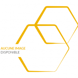 Ruche plastique Nicot...