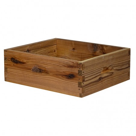 Hausse ddt cryptomeria en vente | Obee Shop Hausse ddt cryptomeria en vente | Obee Shop
