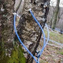 Raccords & valves de plomberie pour l'extraction d'eau de bouleau