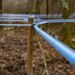 Tuyaux pour la production & la récolte d'eau de bouleau
