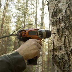 Outils pour la production & la récolte d'eau de bouleau en vente