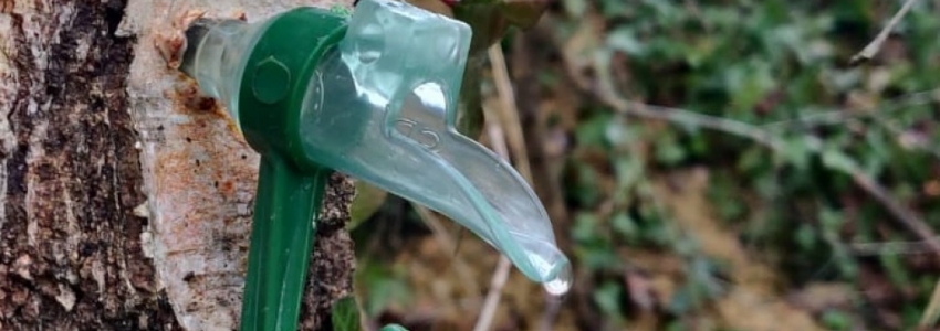Nos conseils Eau
