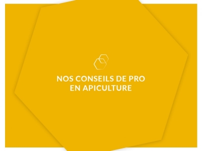 Comment conserver l’eau de bouleau fraiche ? 